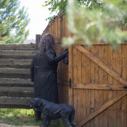 Фото Отель Гарри и философский чан