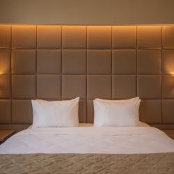 Фото Отель Hayasa Hotel Yerevan (Хаяса )