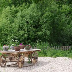 Фото Отель У Лукоморья