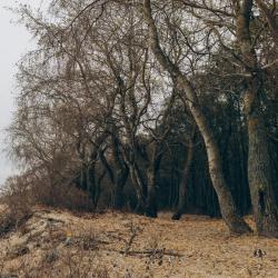 Фото Апартаменты на улице Садовая 5