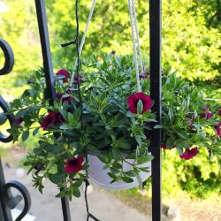 Фото Отель Парадиз