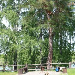 Фото Отель База отдыха РФ