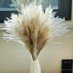 Фото Отель Телецкое Золотое