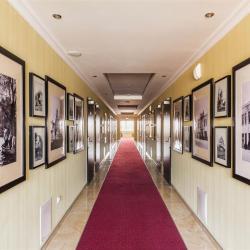 Фото Пушкин Парк-отель