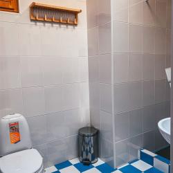 Фото Отель Дубровский парк-клуб