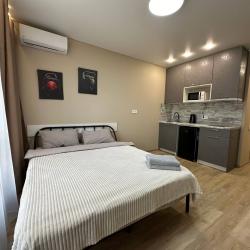 Апартаменты студия г. Владивосток, ул. Архангельская 23, корпус 1, этаж 16