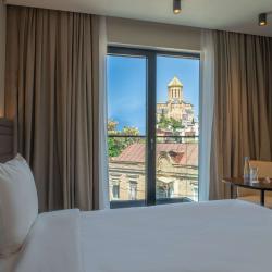 Фото Novotel Tbilisi Center (Новотель Центр)
