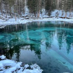 Фото Отель Дикий Ёж