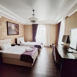 Номер люкс с 2 односпальными кроватями (мансарда)