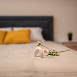 фото 15 Lucky Room (Лаки Рум) на улице Фёдора Котанова 5 корп. 2
