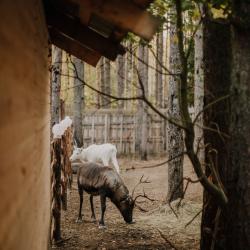 Фото Отель Пасторское озеро