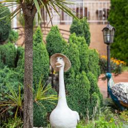 Фото Отель Огонёк