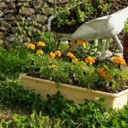 Фото Отель Butterfly (Батерфляй)