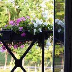 Фото Отель Вояж (Voyage)