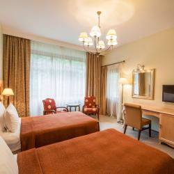 Номер делюкс с 2 односпальными кроватями с балконом