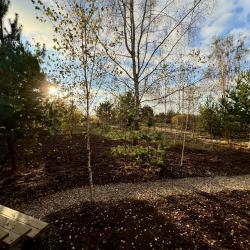 Фото Отель Оазис