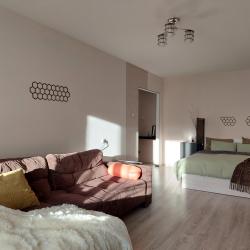 1-комнатные апартаменты улучшенные