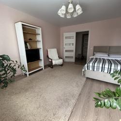 Фото Апартаменты на улице Родионова 167 корпус 5