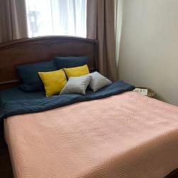 Фото Апартаменты на проспекте Мира 67