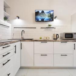 1-комнатные апартаменты улучшенные (49 м², 1 кровать)