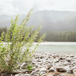 Фото Отель Altay Bereg (Алтай Берег)