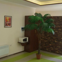 Фото Отель Амелия