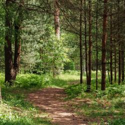 Фото Парк-Отель Спасское