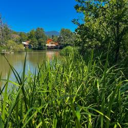 Фото Парк-отель Озеро Дивное