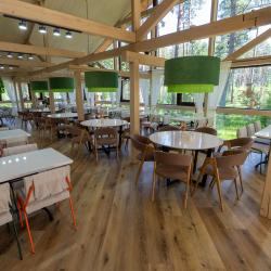 Фото Алтай-парк-отель Подгорица