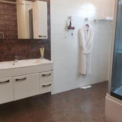 Номер люкс с 1 двуспальной кроватью #5, 10