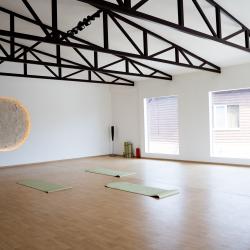 Фото Отель Rodnik Village & Spa (Родник Вилладж Спа)