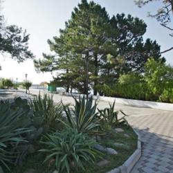 Dolphin Resort by Stellar Hotels (Дельфин Резорт Стеллар) — 3f0da41fe52d65f55ecb63ee1eea0a5d