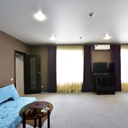 Стандарт №15