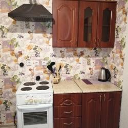 Фото Апартаменты на улице Мысникова 3