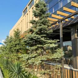 Фото SPA-отель Песок и море