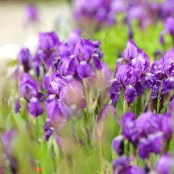 Фото Отель Заимка