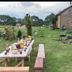 Фото Отель Гостевой дом в Мартыново