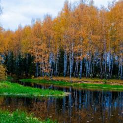 Фото Отель Хаски Хаус