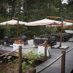 Фото Отель Kunashir Resort & Natural SPA (Кунашир Резорт и СПА)