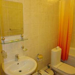 1-местный номер стандарт с 1 двуспальной кроватью