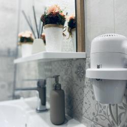 1-комнатные апартаменты студия