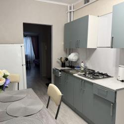 Фото Отель Vivat Apart на Красноармейском проспекте 25 корпус 4