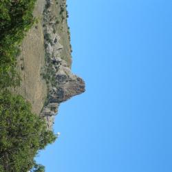 Номер студия люкс