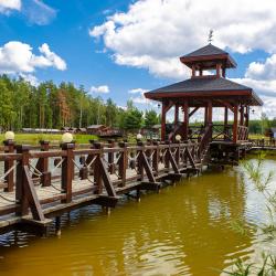 Фото Отель Оленьи пруды