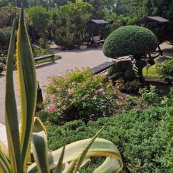 Фото Отель Пансионат Лазурная