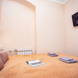 Фото Апартаменты Floris Apartments (Флорис Апартментс) на Невском