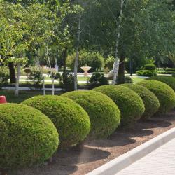 Фото Отель Сакрополь