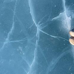 Фото Отель Устье