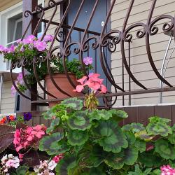 Фото Отель Приозёрный