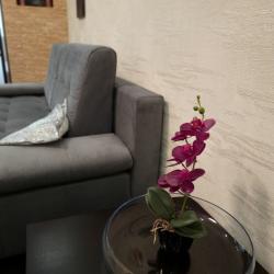 Фото Апартаменты в центре г. а